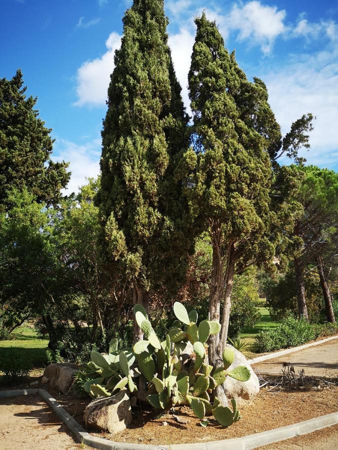 Residence Cala Sultana -Baie Santa Giulia - Rez Jardin 1Ere Ligne Porto-Vecchio  Dış mekan fotoğraf