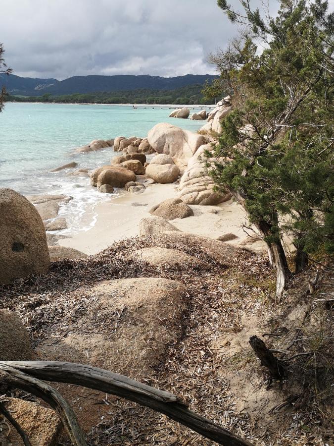 Residence Cala Sultana -Baie Santa Giulia - Rez Jardin 1Ere Ligne Porto-Vecchio  Dış mekan fotoğraf