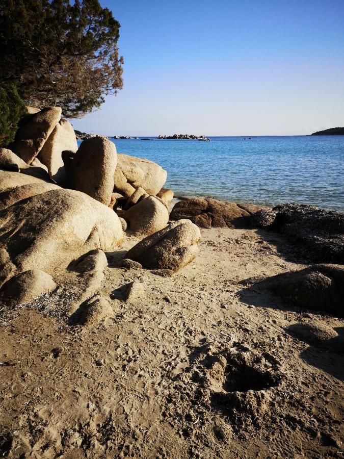 Residence Cala Sultana -Baie Santa Giulia - Rez Jardin 1Ere Ligne Porto-Vecchio  Dış mekan fotoğraf